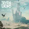 Seven Lions - Only Now (feat. Tyler Graves) - Single